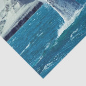 Walviskuitstaart - Argentinië Briefkaart Tissuepapier (Detail)