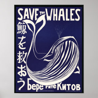 Walviskunst Onbewerkte  foto's Oude esthetiek Poster
