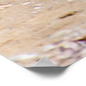 Walvismeeuw Poster (Hoek)