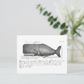  walvisontwerp briefkaart (Staand voorkant)