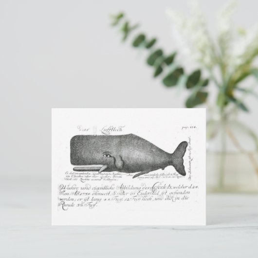 walvisontwerp briefkaart (Staand voorkant)