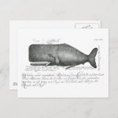  walvisontwerp briefkaart (Voorkant / Achterkant)