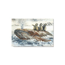 Walvisruiters Wonderlijke Walvis en Pinguïn Oceaan