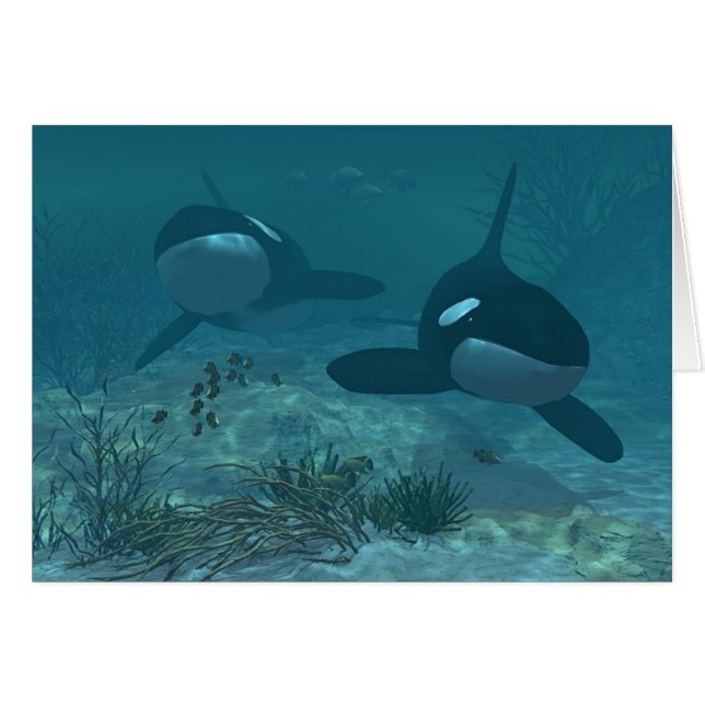 Walvisscène (Voorkant Horizontaal)