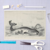  walvisschip Ephemera Decoupage Nautical Tissuepapier (Craft)