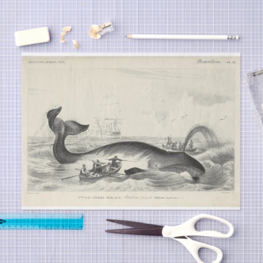 walvisschip Ephemera Decoupage Nautical Tissuepapier (Craft)