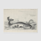  walvisschip Ephemera Decoupage Nautical Tissuepapier (Voorkant)