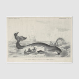 walvisschip Ephemera Decoupage Nautical Tissuepapier