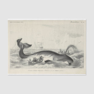 walvisschip Ephemera Decoupage Nautical Tissuepapier