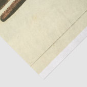 walvisscript Ephemera Decoupage Nautical Tissuepapier (Detail)