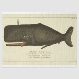 walvisscript Ephemera Decoupage Nautical Tissuepapier