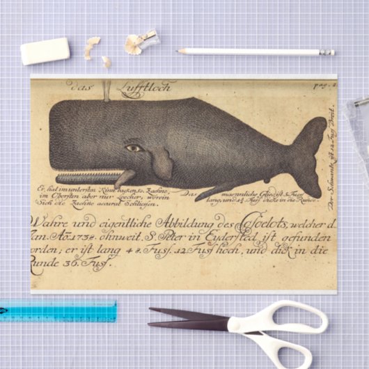 walvisscript Ephemera Decoupage Nautical Tissuepapier (Craft)