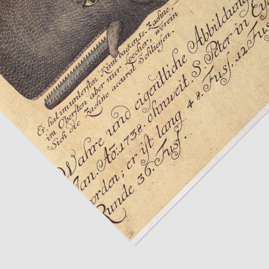 walvisscript Ephemera Decoupage Nautical Tissuepapier (Detail)