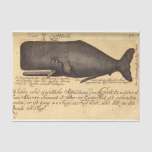 walvisscript Ephemera Decoupage Nautical Tissuepapier