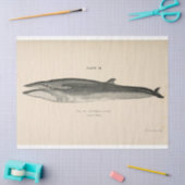 walvisscript Ephemera Decoupage Nautical Tissuepapier (Craft)