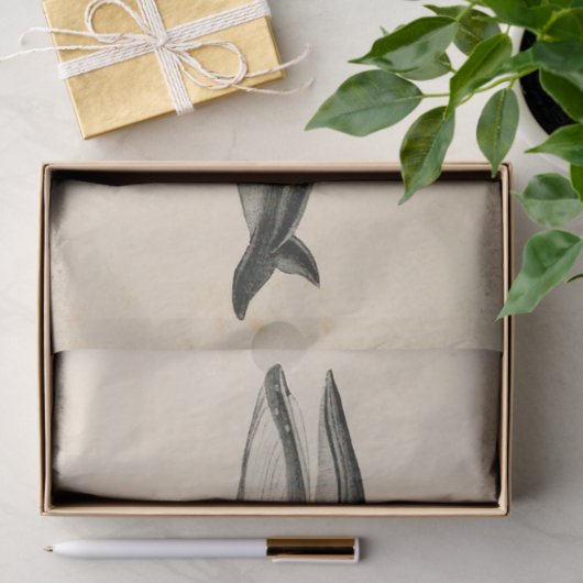 walvisscript Ephemera Decoupage Nautical Tissuepapier (Geschenk)