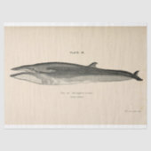 walvisscript Ephemera Decoupage Nautical Tissuepapier (Voorkant)