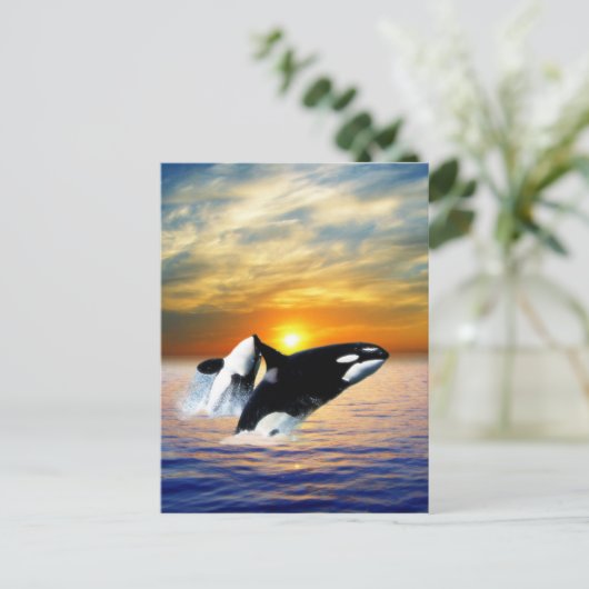 Walvissen bij zonsondergang briefkaart (Staand voorkant)