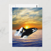 Walvissen bij zonsondergang briefkaart (Voorkant / Achterkant)