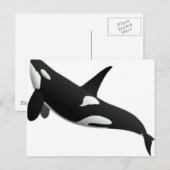 walvissen briefkaart (Voorkant / Achterkant)