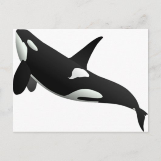 walvissen briefkaart (Voorkant)