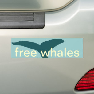 walvissen bumpersticker
