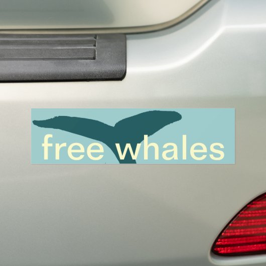 walvissen bumpersticker (Op auto)