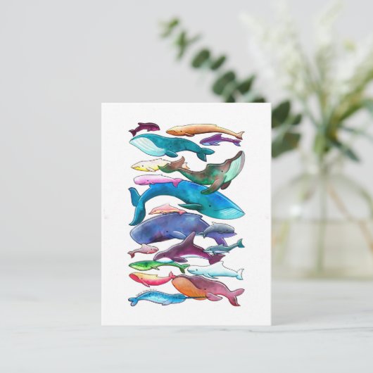 walvissen, dolfijnen en bruinvissen briefkaart (Staand voorkant)