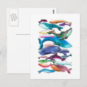 walvissen, dolfijnen en bruinvissen briefkaart (Voorkant / Achterkant)