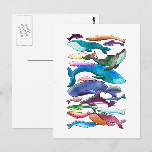 walvissen, dolfijnen en bruinvissen briefkaart (Voorkant / Achterkant)