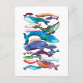 walvissen, dolfijnen en bruinvissen briefkaart (Voorkant)