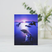 Walvissen dolphins pinguins oceaanzonsondergang briefkaart (Staand voorkant)