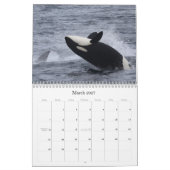 Walvissen en dolfijnen van Monterey Bay Kalender (Mar 2027)
