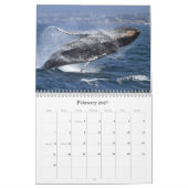 Walvissen en dolfijnen van Monterey Bay Kalender (Feb 2027)