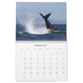 Walvissen en dolfijnen van Monterey Bay Kalender (Jan 2027)