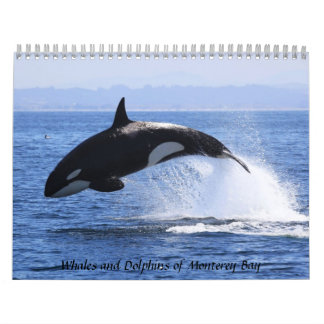 Walvissen en dolfijnen van Monterey Bay Kalender