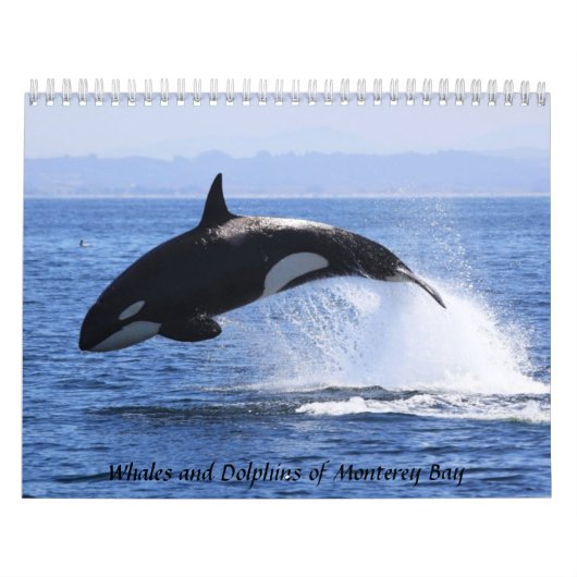 Walvissen en dolfijnen van Monterey Bay Kalender (Hoes)