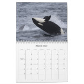 Walvissen en dolfijnen van Monterey Bay Kalender (Mar 2026)
