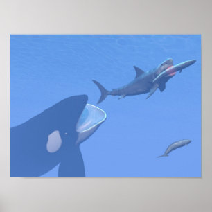 Walvissen en megalodon onderwater - 3D rendering Poster