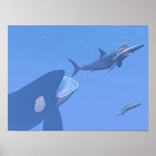 Walvissen en megalodon onderwater - 3D rendering Poster (Voorkant)