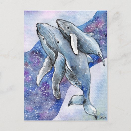 Walvissen in Star River Briefkaart (Voorkant)