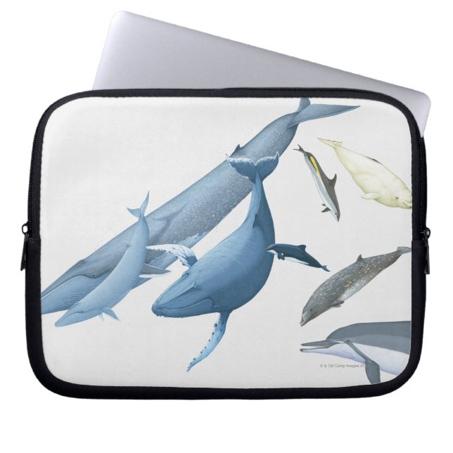 walvissen laptop sleeve (Voorkant)
