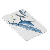 walvissen magneet (Rechterzijde)