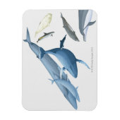 walvissen magneet (Verticaal)