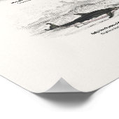 Walvissen - Naturalist's Library Poster (Hoek)