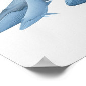 walvissen poster (Hoek)