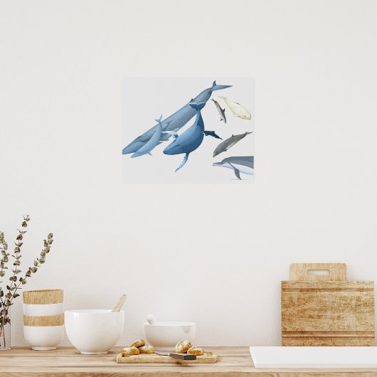 walvissen poster (Keuken)