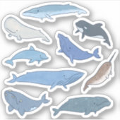 Walvissen van de wereld sticker (Voorkant)