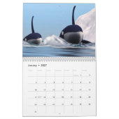 Walvissen van de World Calendar Kalender (Jan 2027)