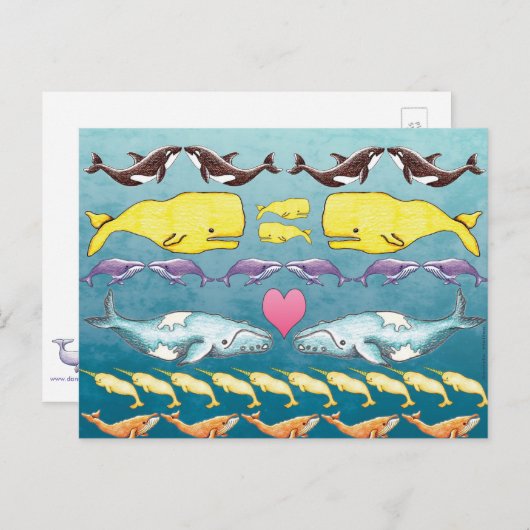 walvissen van het Zee Briefkaart (Voorkant / Achterkant)